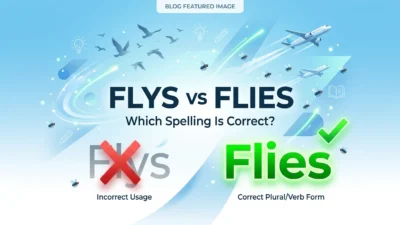 flys vs flies
